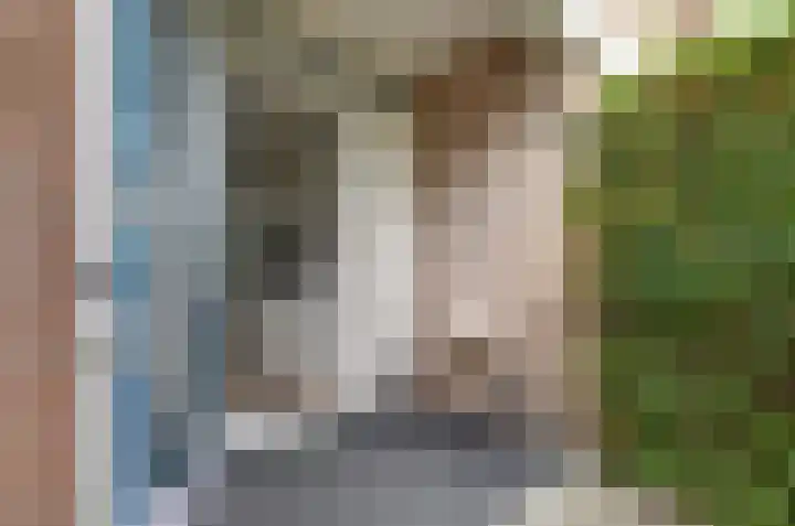 Zwartwatersweg 117 Assen thumbnail 18