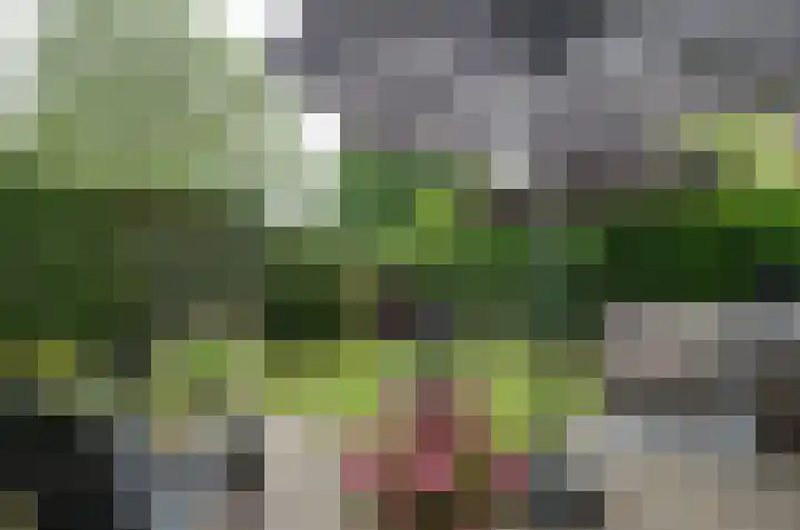 Zwartwatersweg 117 Assen thumbnail 20