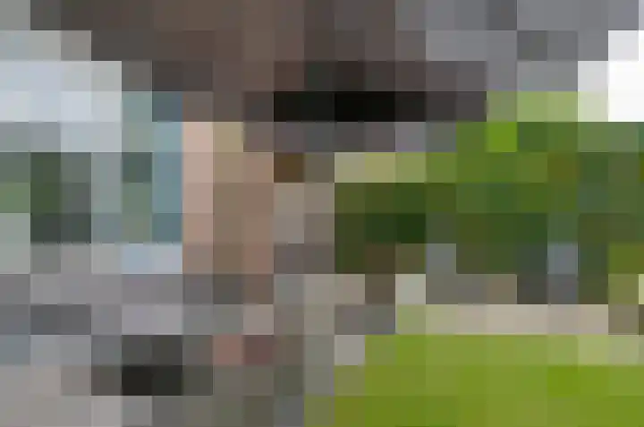 Zwartwatersweg 117 Assen thumbnail 21