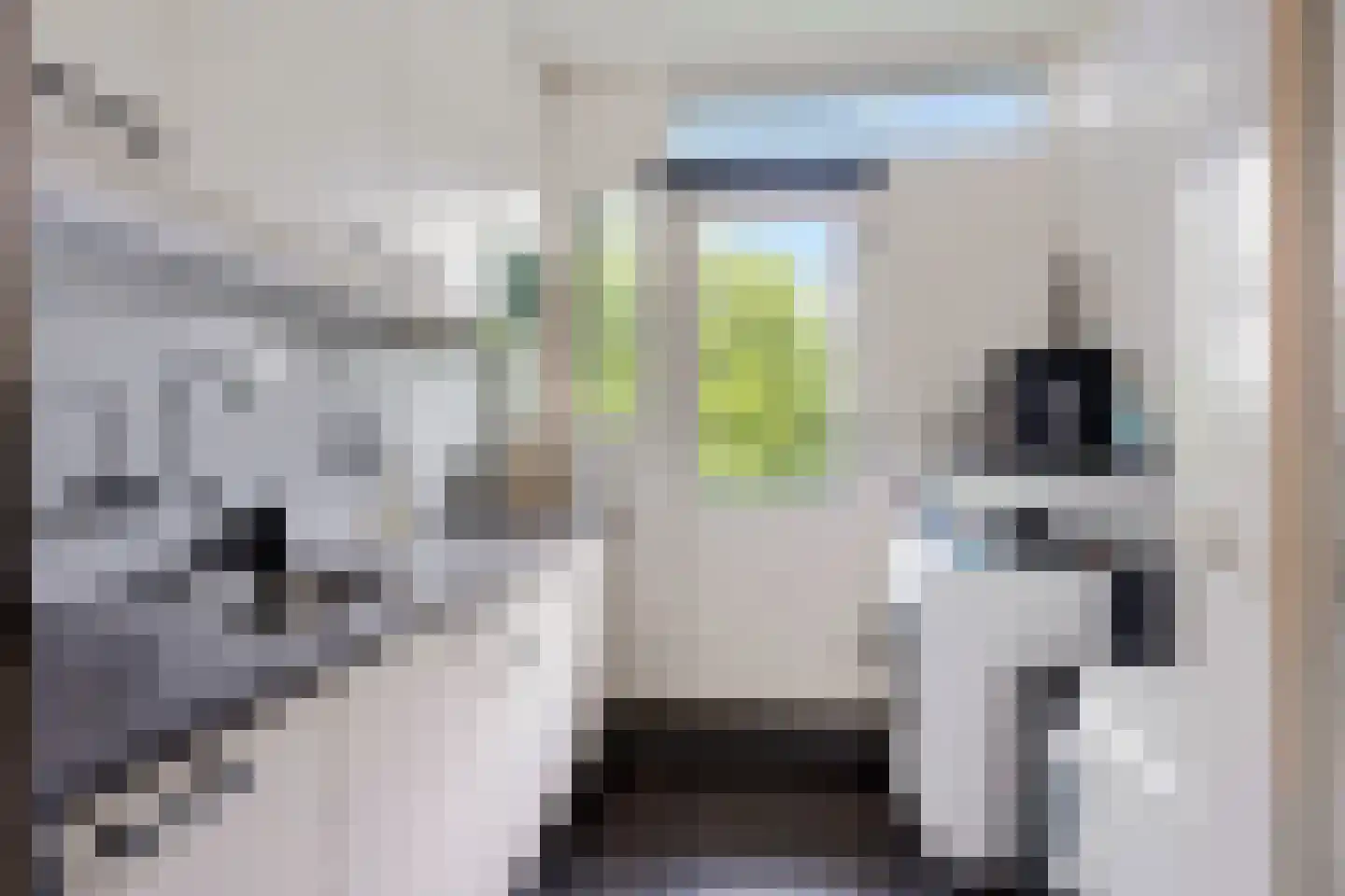 Zwartwatersweg 123 Assen thumbnail 16