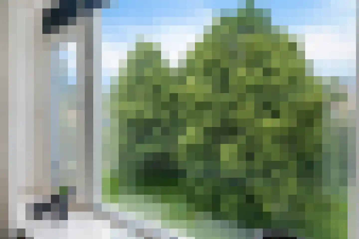 Zwartwatersweg 123 Assen thumbnail 25