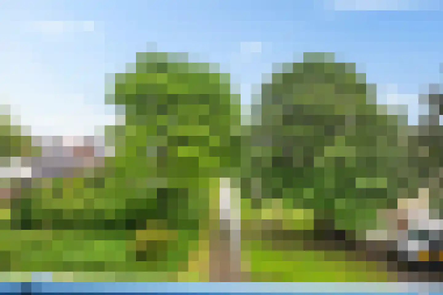 Zwartwatersweg 123 Assen thumbnail 29