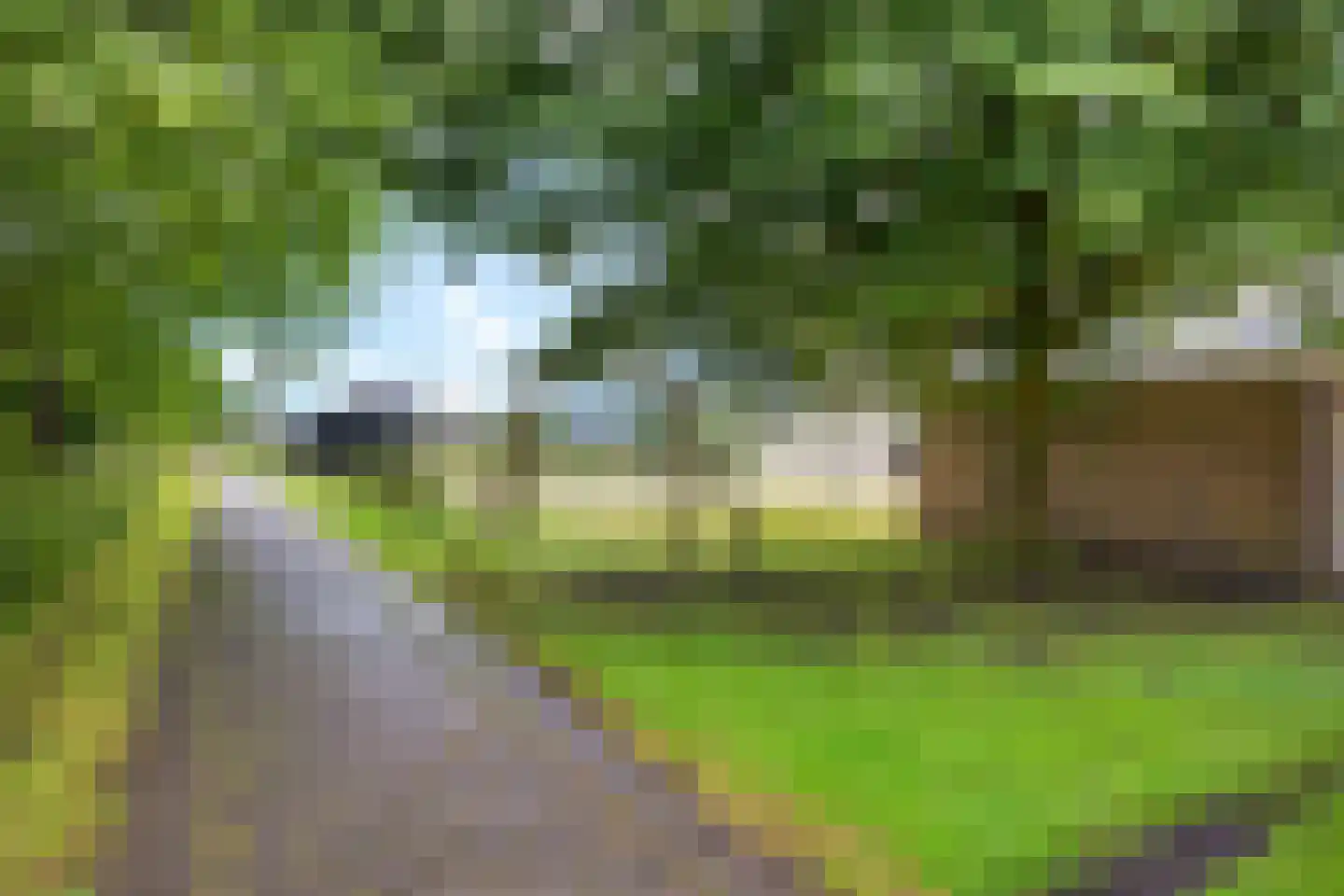 Zwartwatersweg 123 Assen thumbnail 30