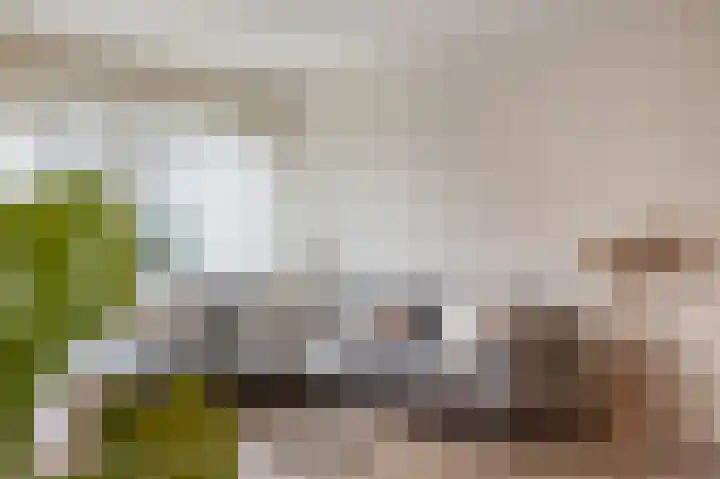 Zwartwatersweg 125 Assen thumbnail 14