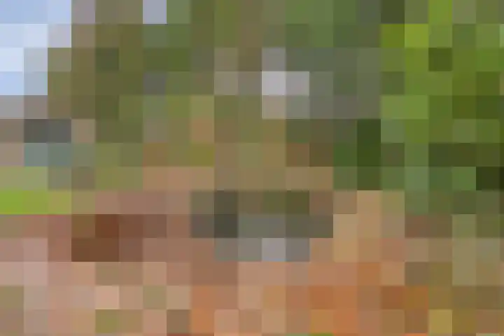 Zwartwatersweg 152 Assen thumbnail 23