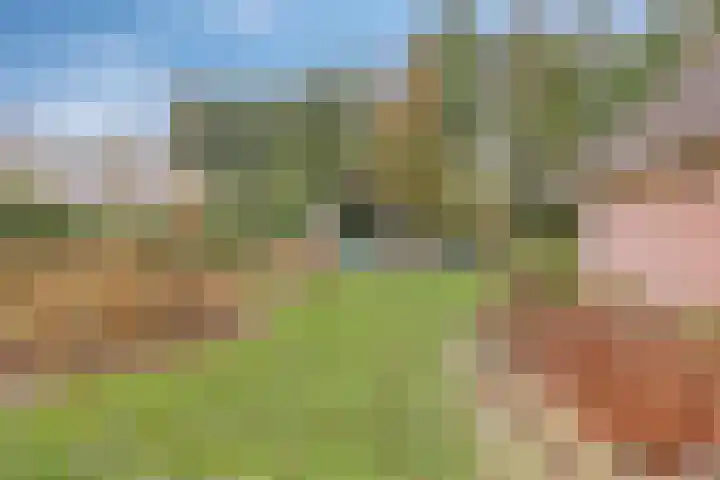 Zwartwatersweg 152 Assen thumbnail 24