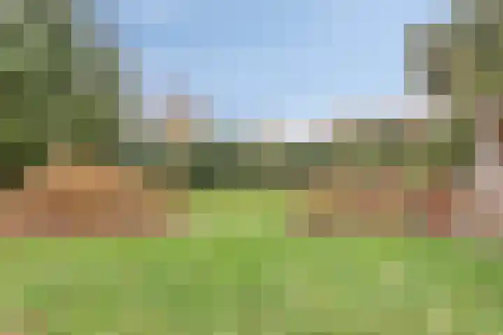 Zwartwatersweg 152 Assen thumbnail 25