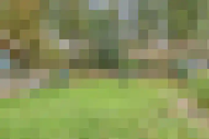 Zwartwatersweg 152 Assen thumbnail 27