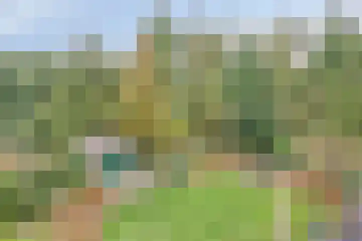 Zwartwatersweg 152 Assen thumbnail 28