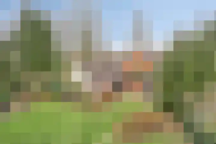 Zwartwatersweg 152 Assen thumbnail 29