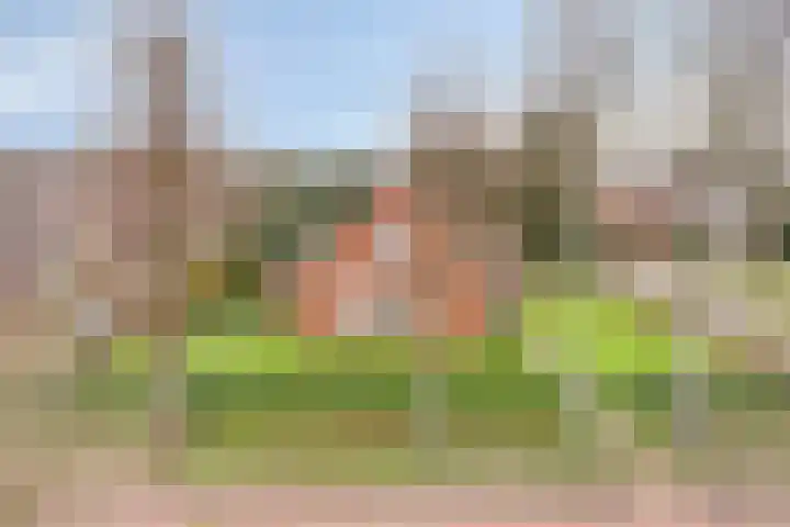 Zwartwatersweg 152 Assen thumbnail 34