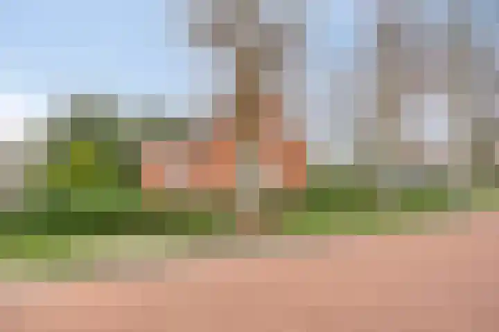 Zwartwatersweg 152 Assen thumbnail 35