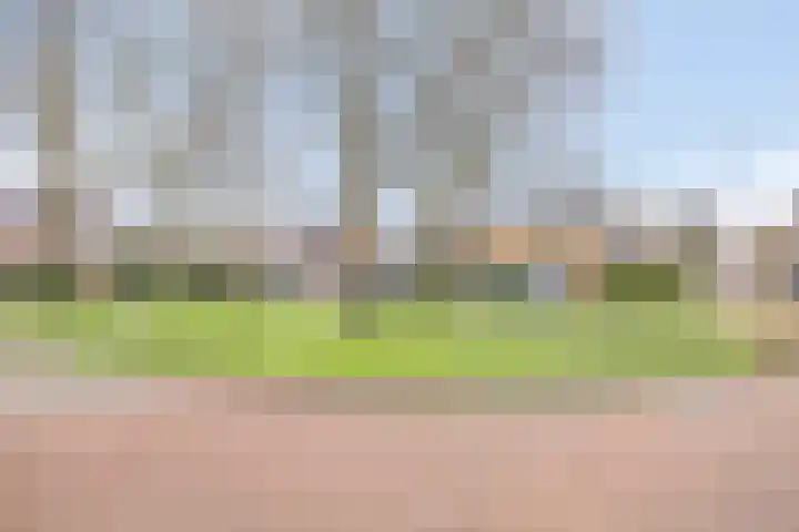 Zwartwatersweg 152 Assen thumbnail 36
