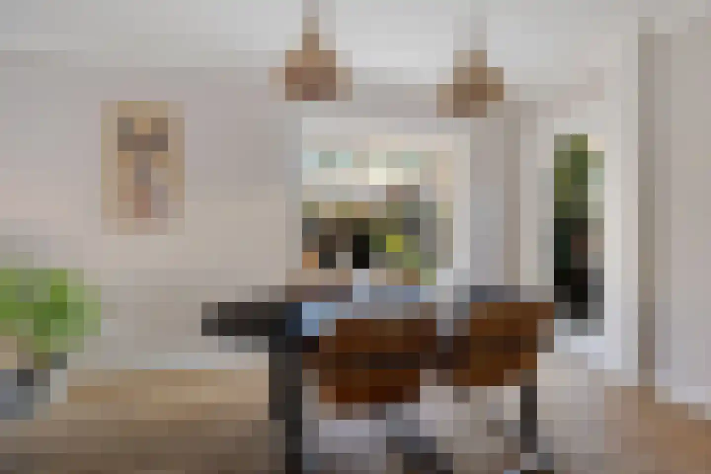 Zwartwatersweg 3 Assen thumbnail 10