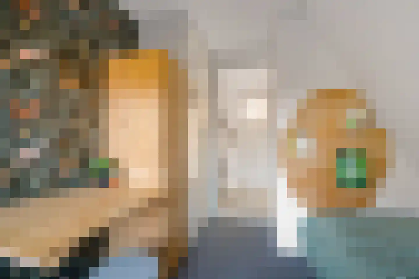 Zwartwatersweg 3 Assen thumbnail 22