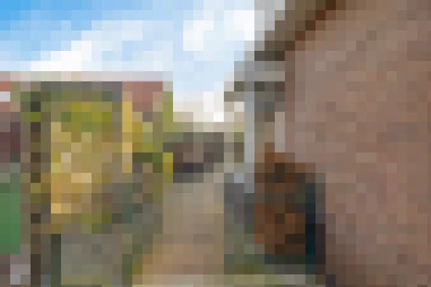 Zwartwatersweg 3 Assen thumbnail 29