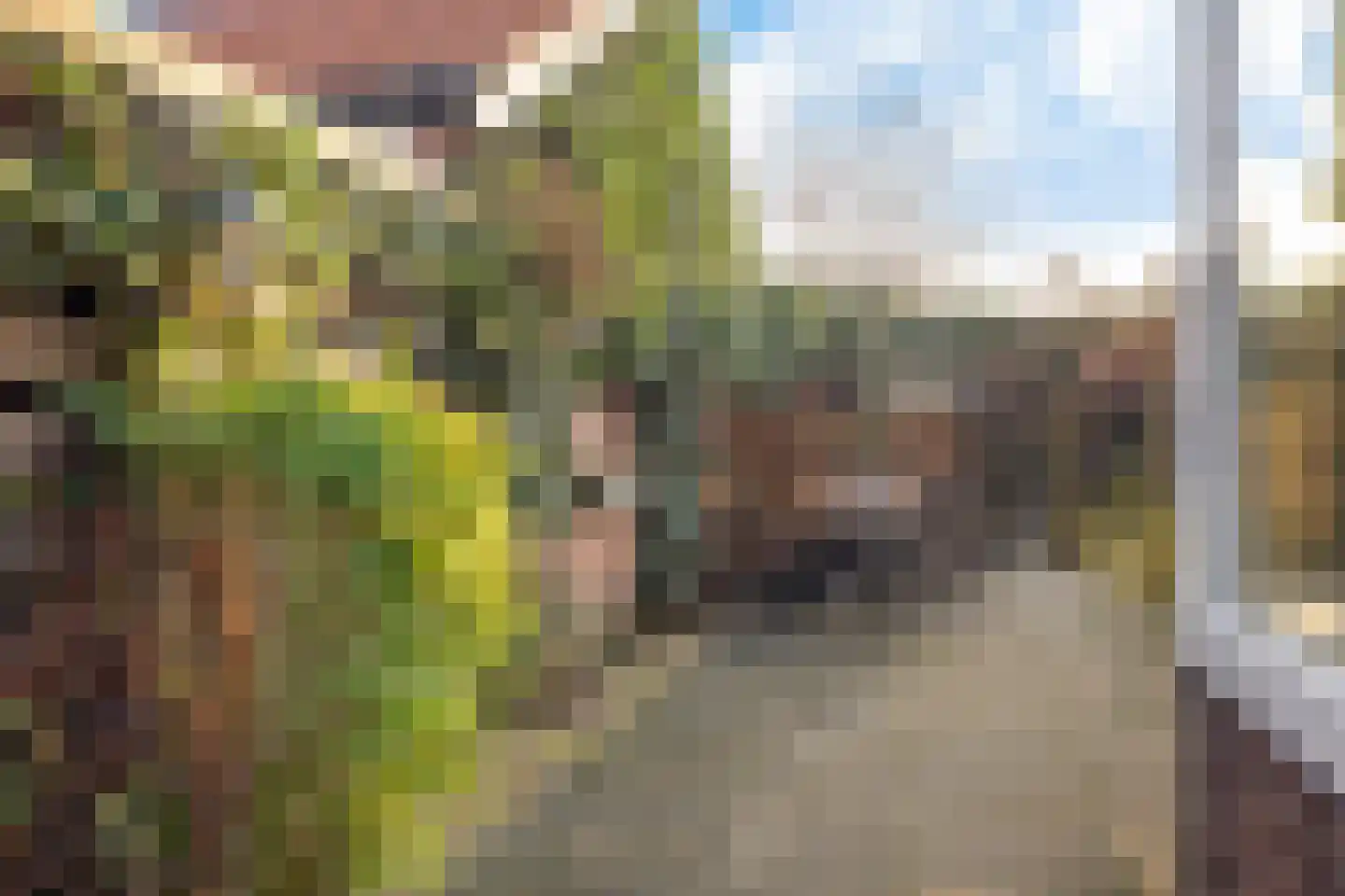 Zwartwatersweg 3 Assen thumbnail 30