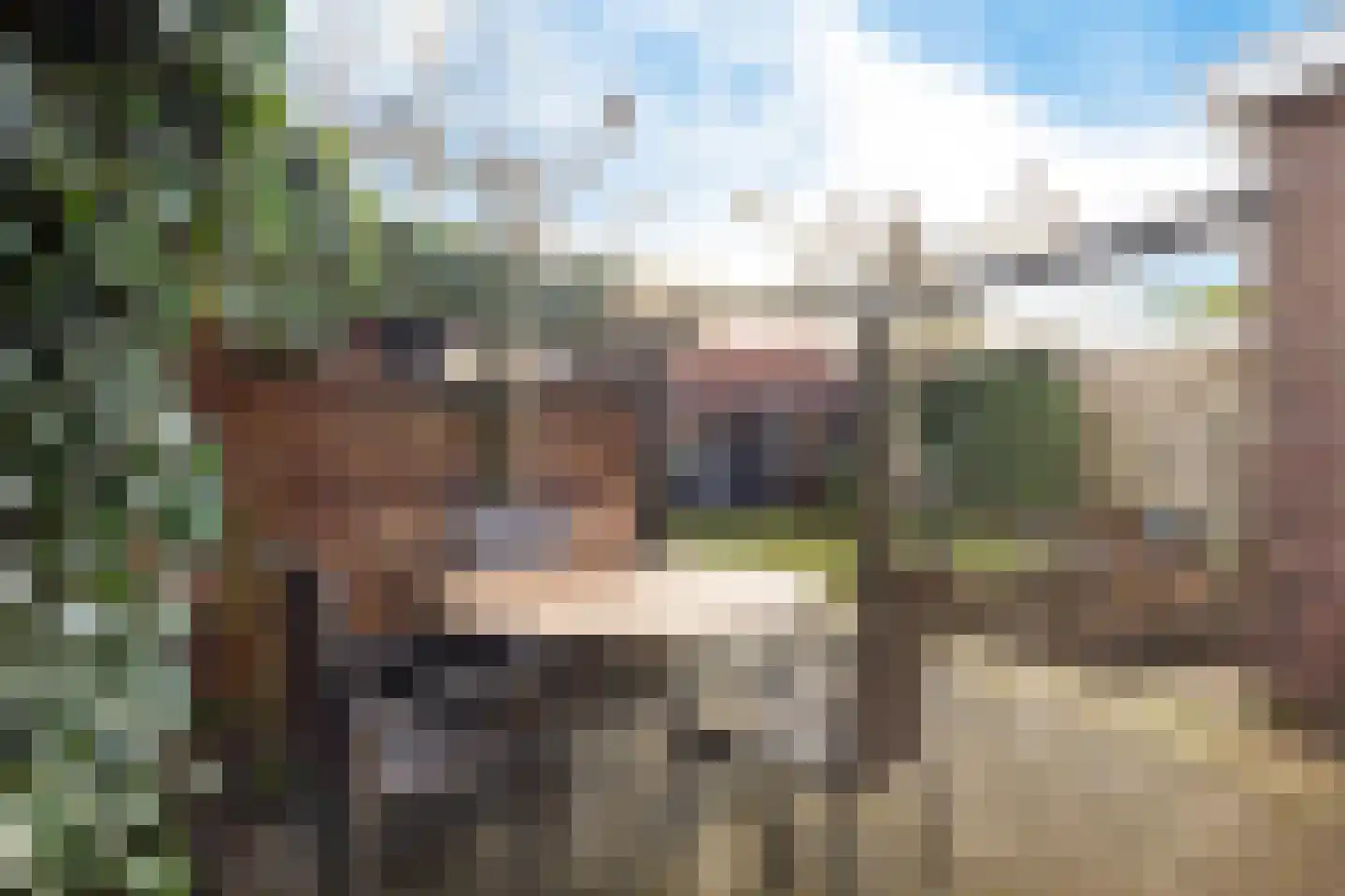 Zwartwatersweg 3 Assen thumbnail 31