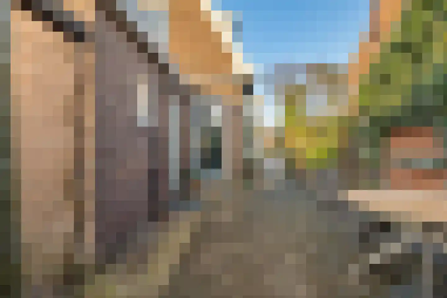 Zwartwatersweg 3 Assen thumbnail 32