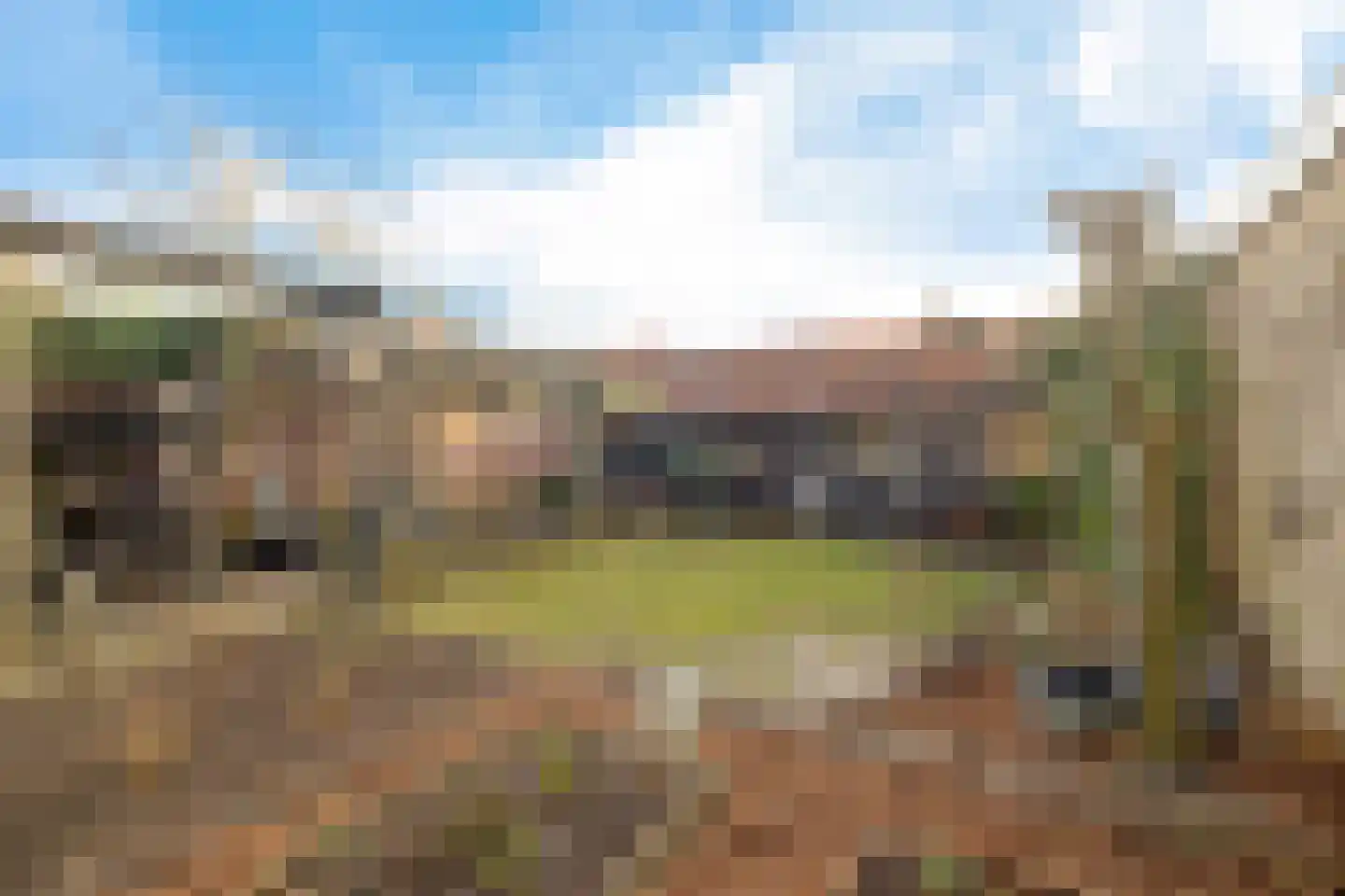 Zwartwatersweg 3 Assen thumbnail 37
