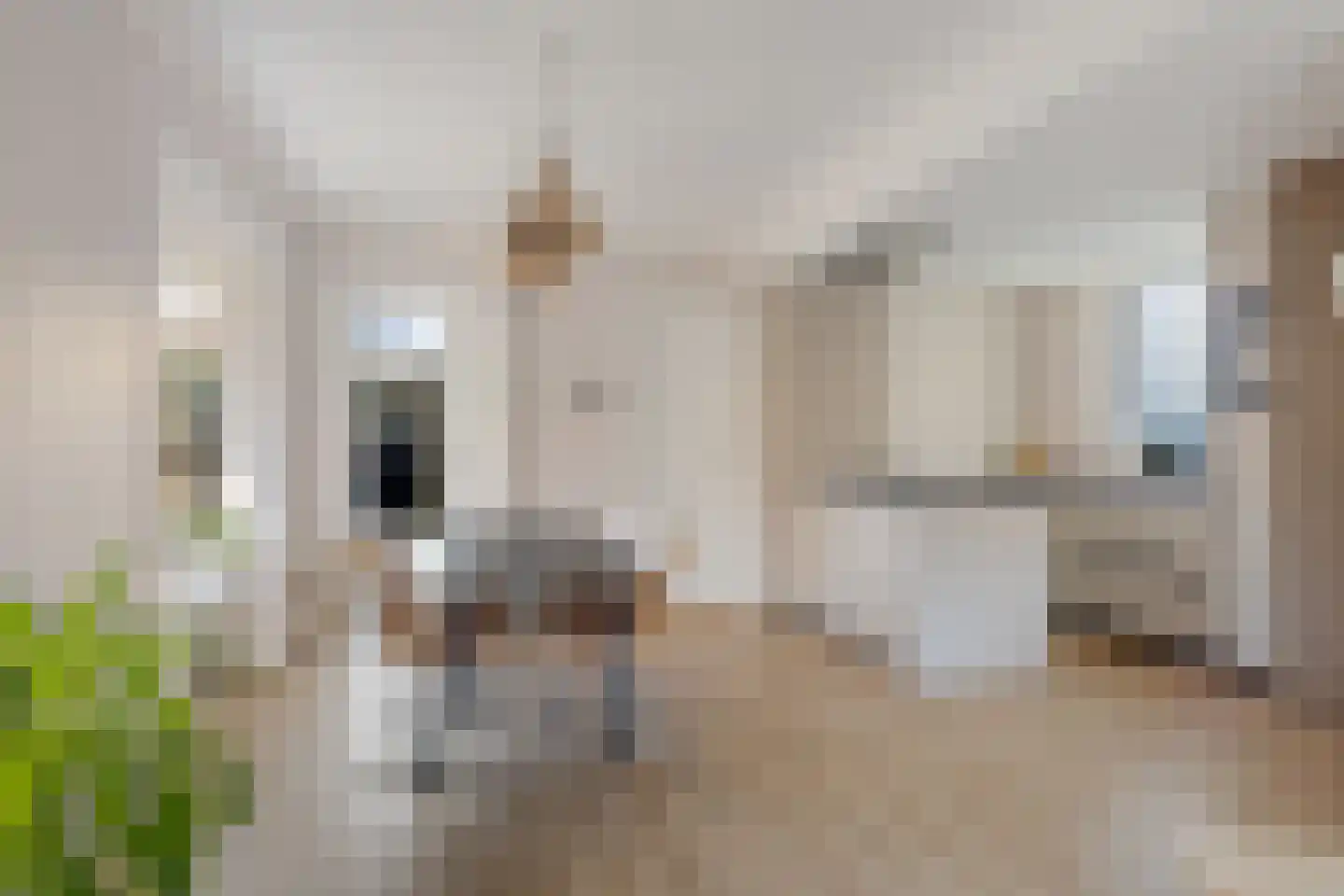 Zwartwatersweg 3 Assen thumbnail 9