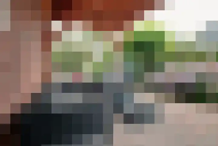 Zwartwatersweg 52 Assen thumbnail 37