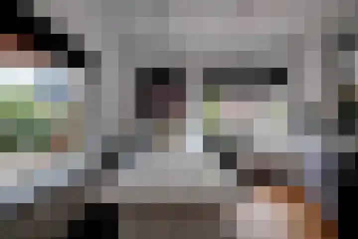Zwartwatersweg 52 Assen thumbnail 9