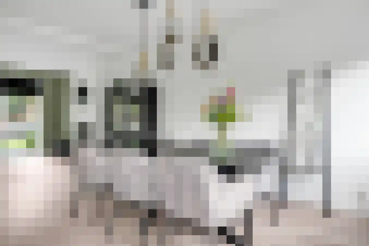 Zwavertsweg 125 Hengelo thumbnail 13