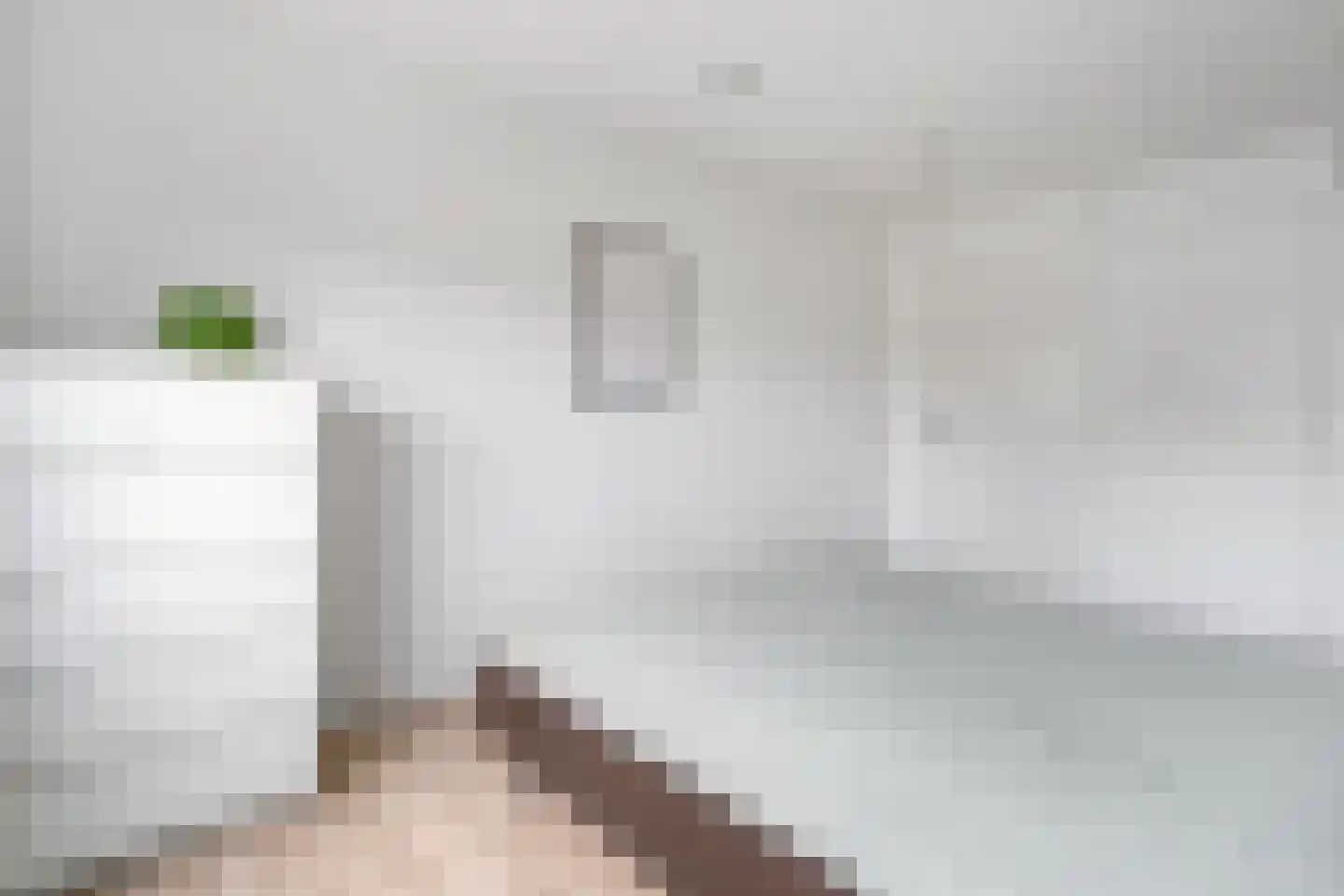 Zwavertsweg 125 Hengelo thumbnail 22