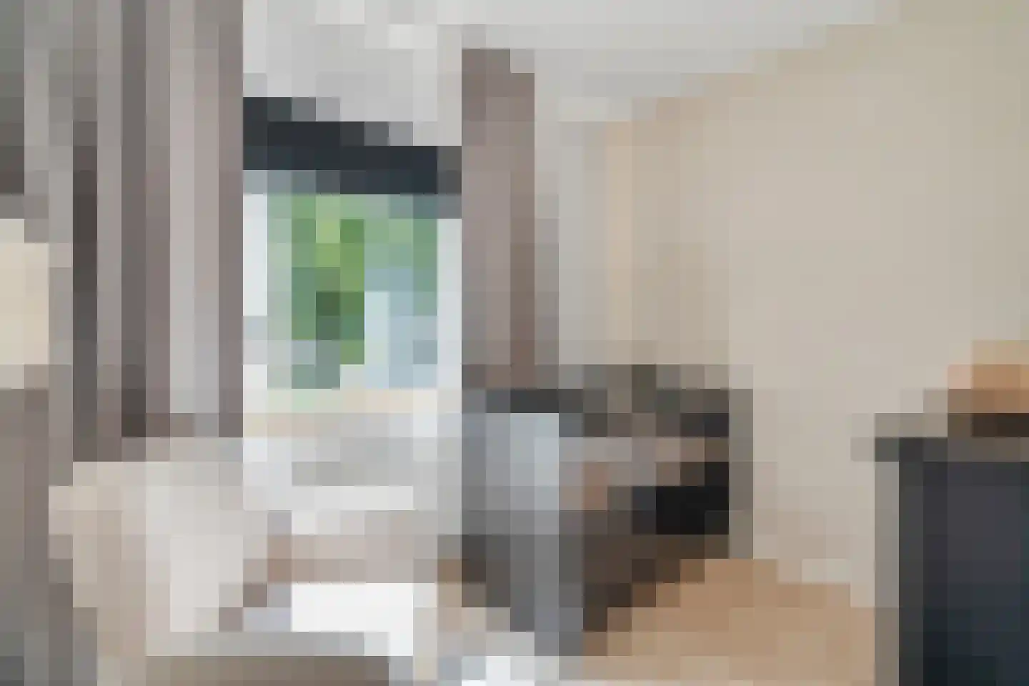 Zwavertsweg 125 Hengelo thumbnail 23