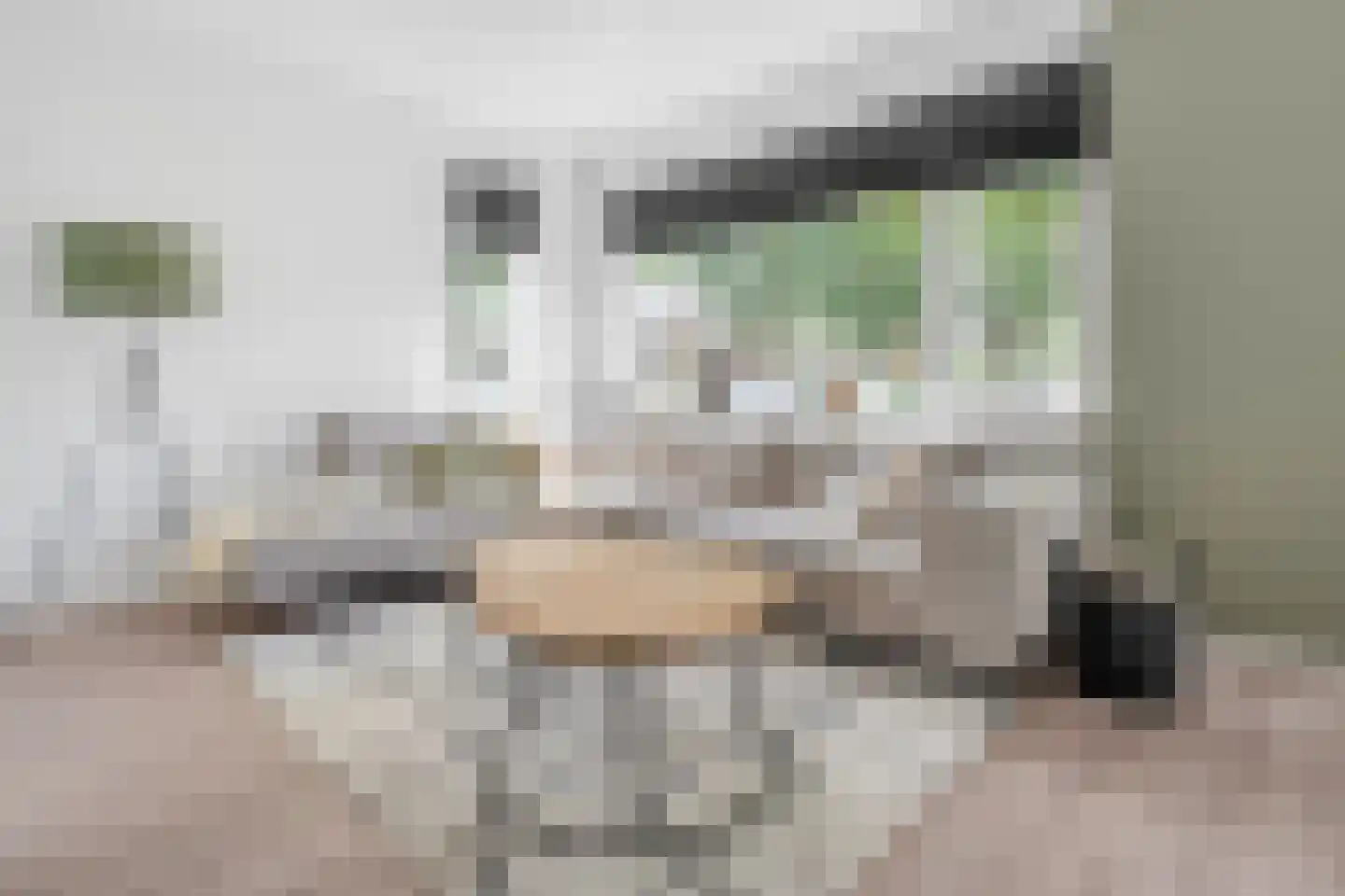 Zwavertsweg 125 Hengelo thumbnail 9