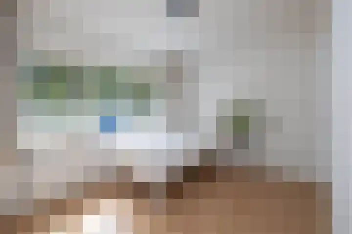 Zwavertsweg 133 Hengelo thumbnail 17