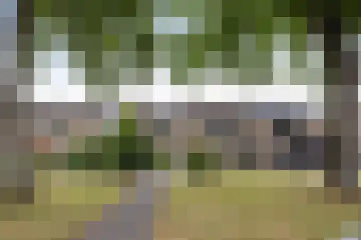 Zwavertsweg 133 Hengelo thumbnail 28