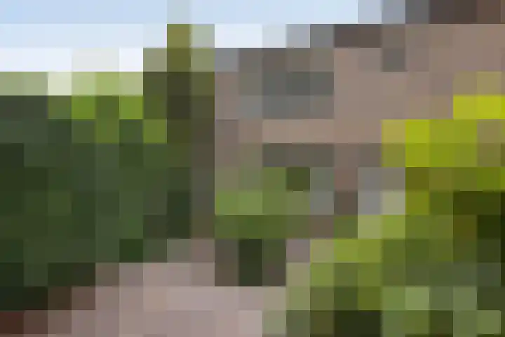 Zwavertsweg 133 Hengelo thumbnail 30