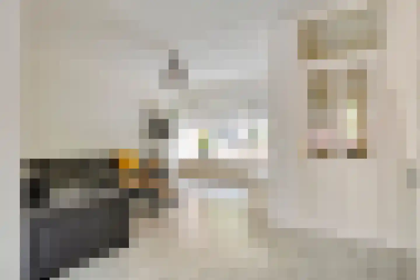 Zwavertsweg 146 Hengelo thumbnail 12