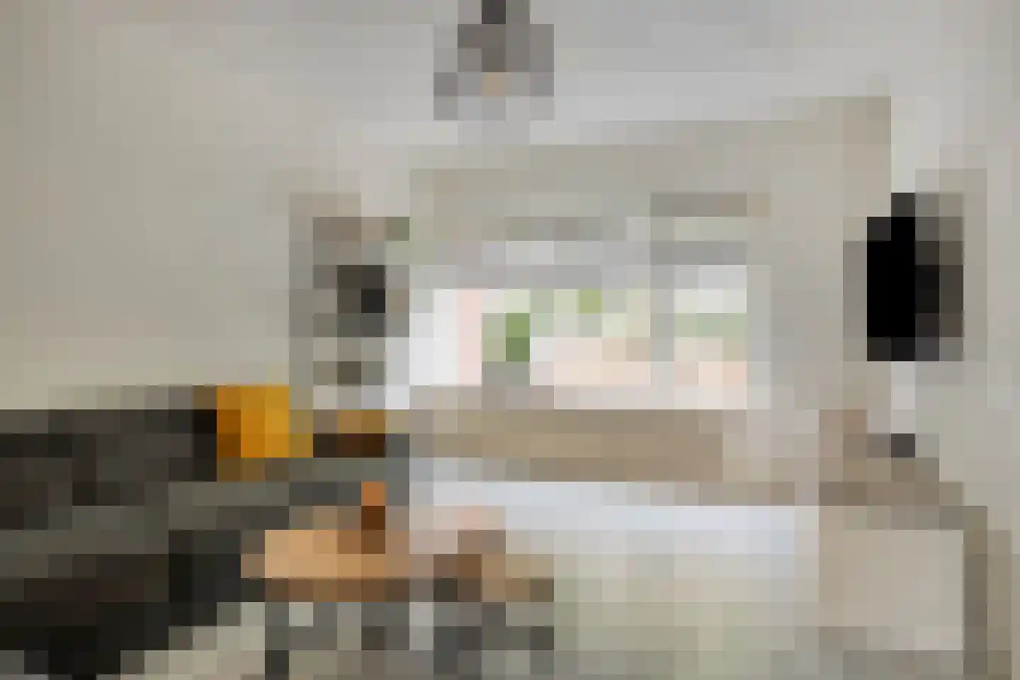 Zwavertsweg 146 Hengelo thumbnail 13