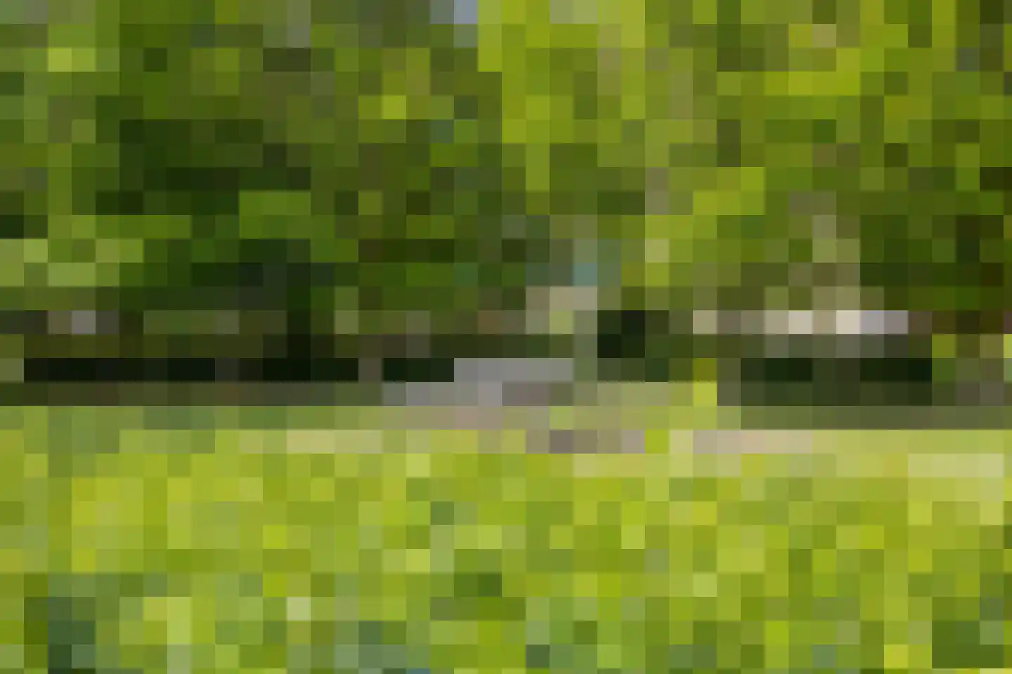 Zwavertsweg 146 Hengelo thumbnail 45