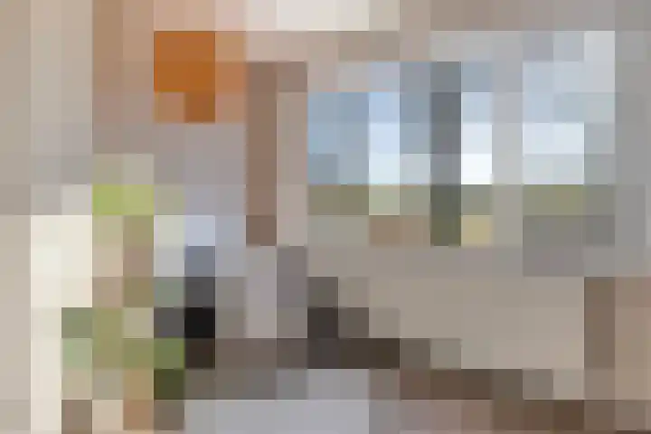 Zwavertsweg 223 Hengelo thumbnail 12