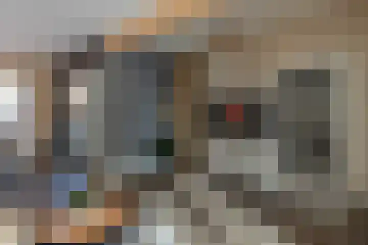 Zwavertsweg 223 Hengelo thumbnail 14