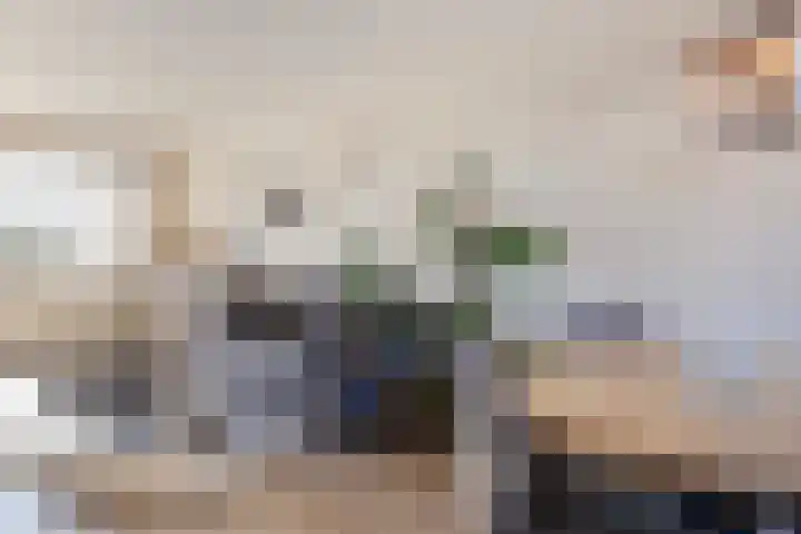 Zwavertsweg 223 Hengelo thumbnail 15