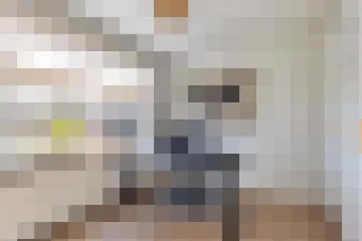 Zwavertsweg 223 Hengelo thumbnail 26