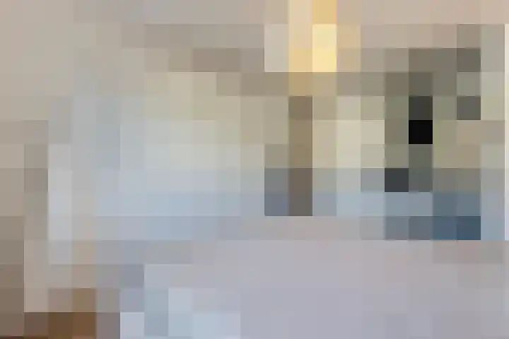 Zwavertsweg 223 Hengelo thumbnail 30