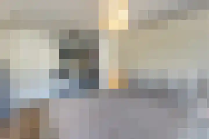 Zwavertsweg 223 Hengelo thumbnail 31