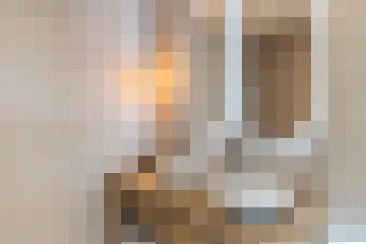 Zwavertsweg 223 Hengelo thumbnail 36