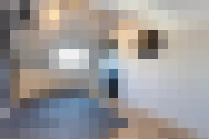 Zwavertsweg 223 Hengelo thumbnail 39