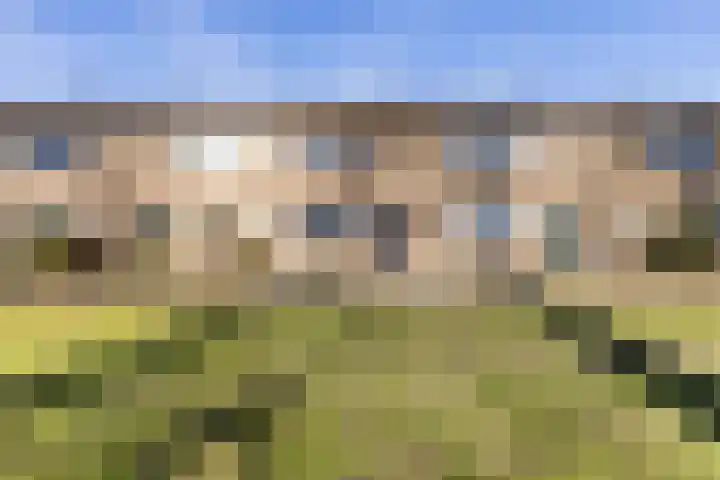 Zwavertsweg 223 Hengelo thumbnail 5