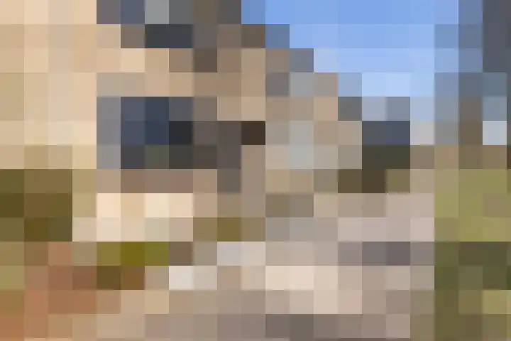 Zwavertsweg 223 Hengelo thumbnail 6