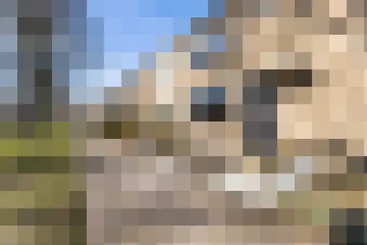 Zwavertsweg 223 Hengelo thumbnail 7