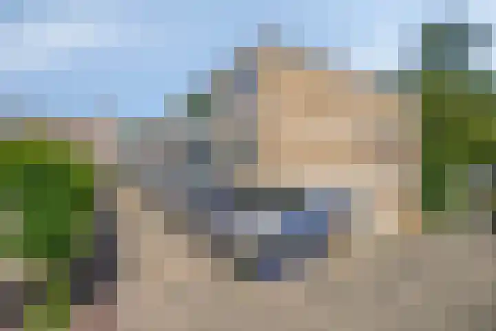 Zwedenburg 115 Den Haag thumbnail 6
