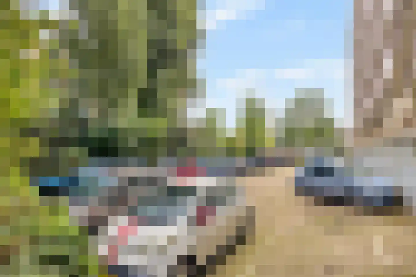 Zwedenburg 12 Den Haag thumbnail 24